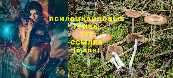 прущая мука Алексин
